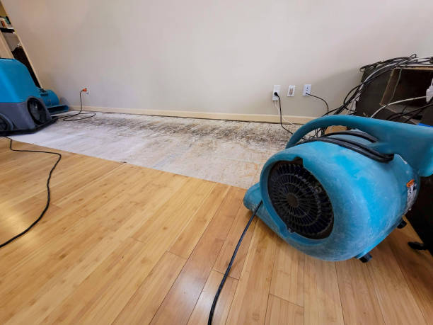 Professional Basement Flood Cleanup technician working in Bailey, CO